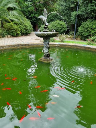 Фонтан и рыбки в Ботаническом саду Батуми