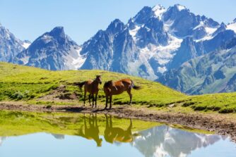 Лошади в горах Сванетия
