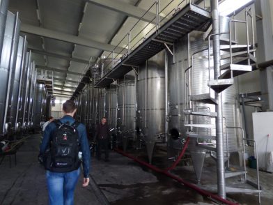 Производство грузинского вина завод KTW