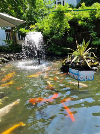 Рыбки в фонтане Батуми для детей