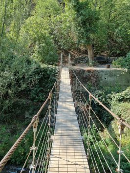 Верёвочный мостик в ботсаду Тбилиси