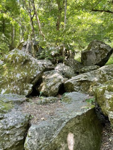 Огромные камни в национальном парке Боржоми 