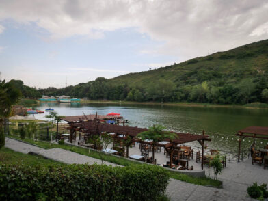 Черепашье озеро рядом с парком Ваке в Тбилиси