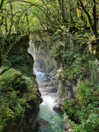 Каньон Мартвили фото