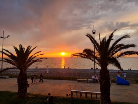 Море и пальмы в Батуми у набережной